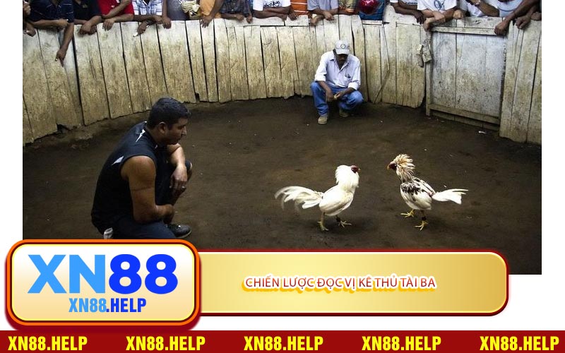 Chiến Lược Đọc Vị Kê Thủ Tài Ba