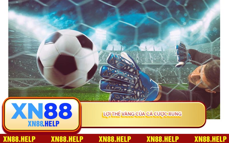 Kèo Rung Là Gì? Bí Kíp Cá Độ Thắng Lớn Tại XN88