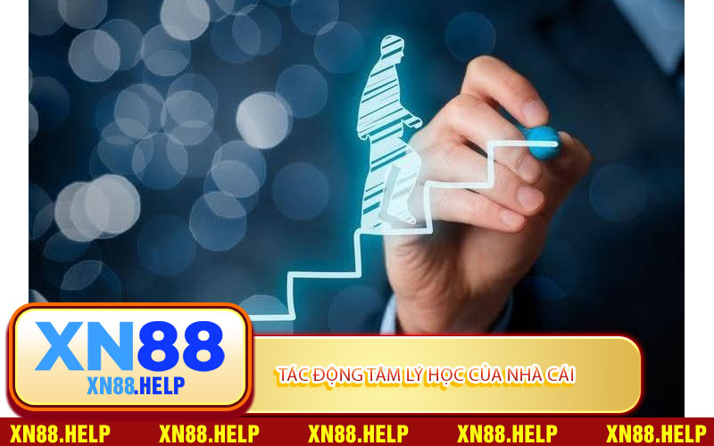 Tác Động Tâm Lý Học Của Nhà Cái
