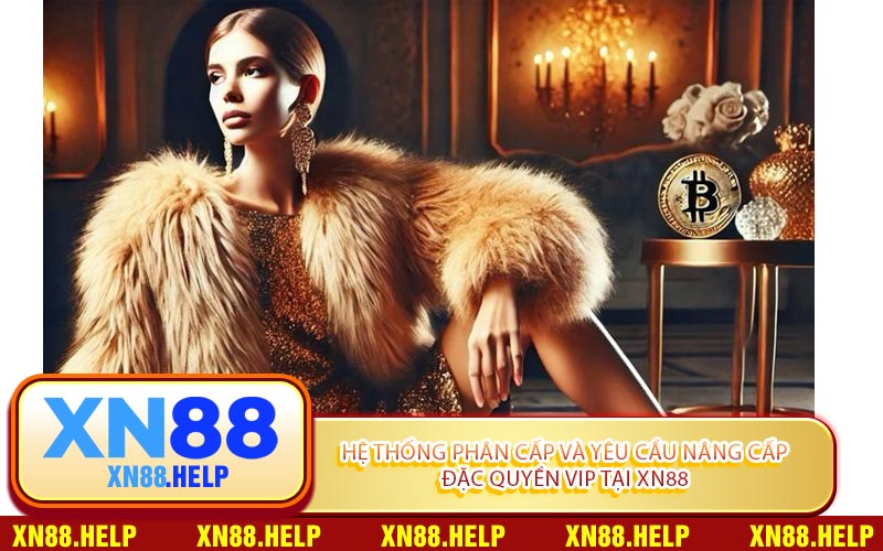 Hệ Thống Phân Cấp Và Yêu Cầu Nâng Cấp Đặc Quyền VIP Tại XN88