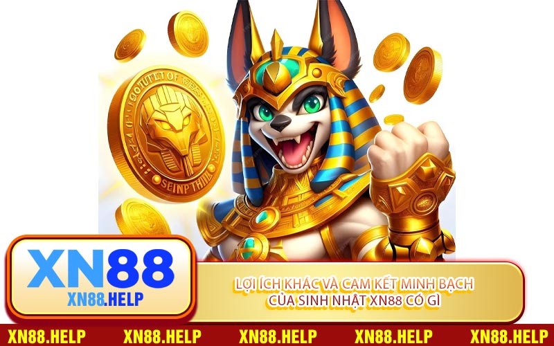Lợi Ích Khác Và Cam Kết Minh Bạch Của Sinh Nhật XN88 Có Gì