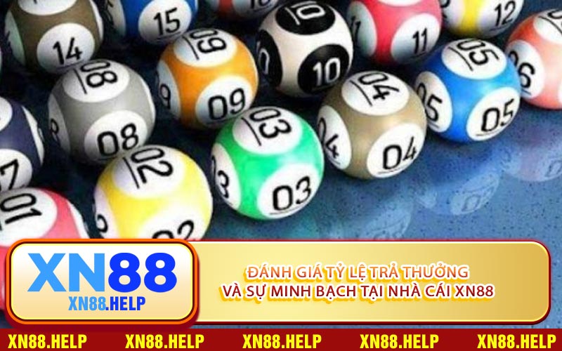 Đánh Giá Tỷ Lệ Trả Thưởng Và Sự Minh Bạch Tại Nhà Cái XN88