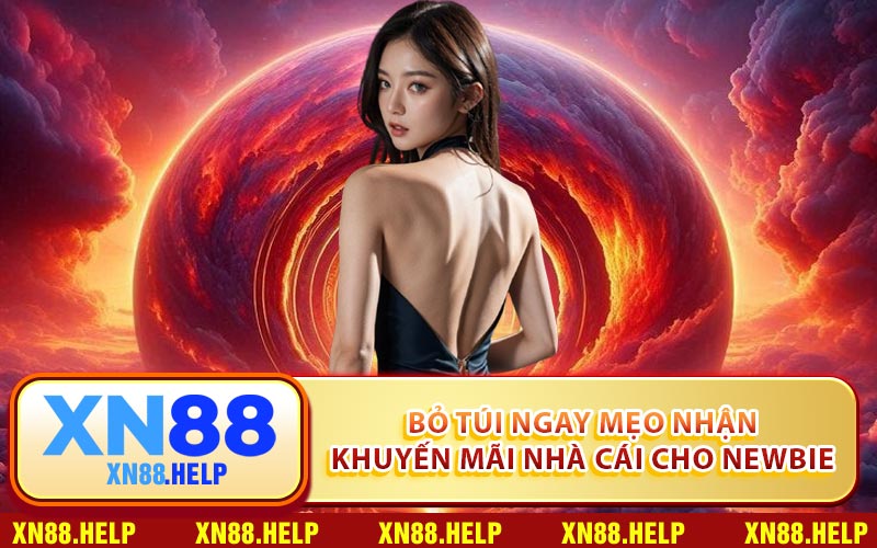 Bỏ túi ngay mẹo nhận khuyến mãi nhà cái cho newbie